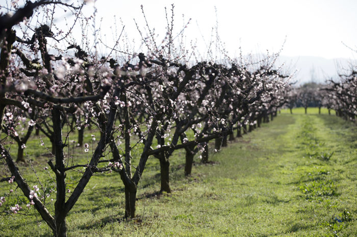 Agricultores y ganaderos piden una marca de proximidad de productos riojanos