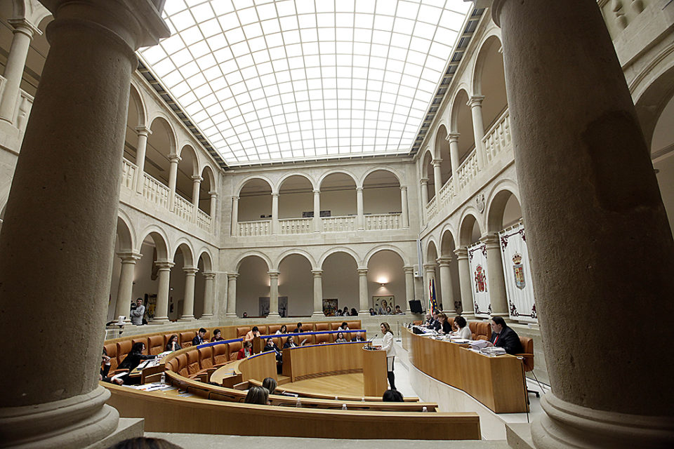 Sesión plenaria en el Parlamento de La Rioja. /INGRID