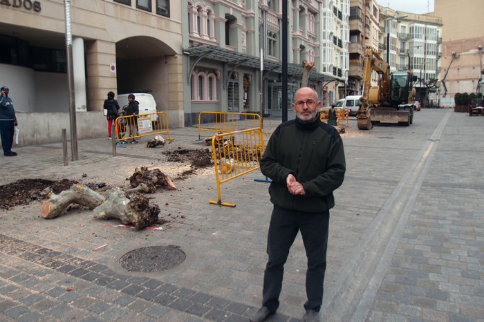 El Ayuntamiento renueva 26 árboles en Bretón de los Herreros