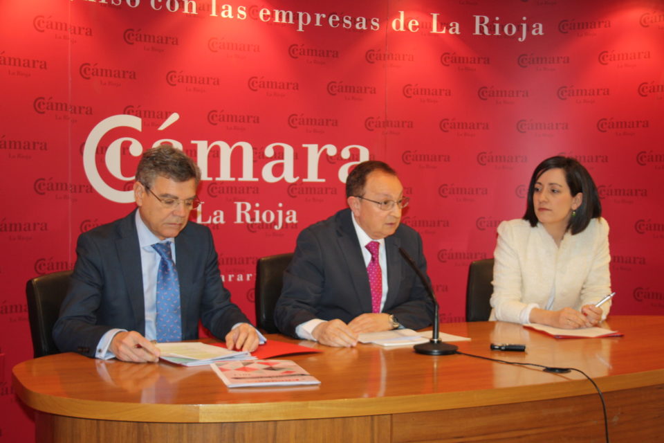 El presidente de la Cámara, en la rueda de prensa. / NR