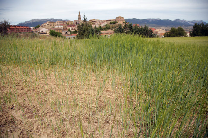 UAGR asegura que el Ministerio abandona a La Rioja ante la excepcional sequía