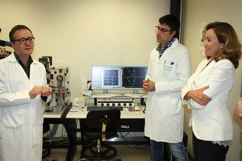 La consejera de Salud, con los investigadores del CIBIR. / NR