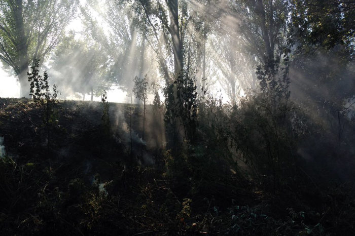 Varios menores provocan un incendio en el Parque de La Ribera