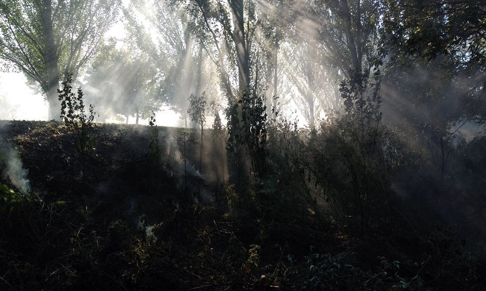 Incendio en el Parque de La Ribera. / @bajominimosbomb