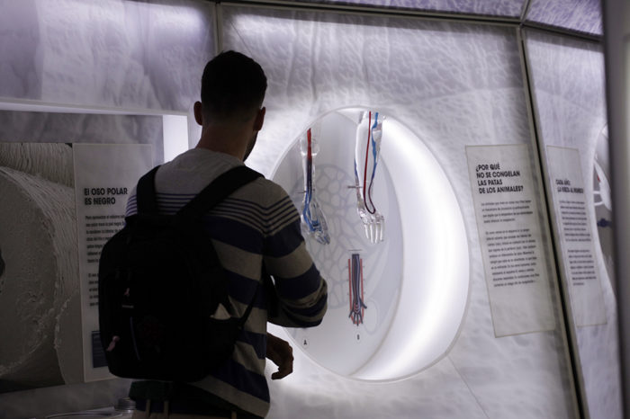 Más allá de la punta del iceberg