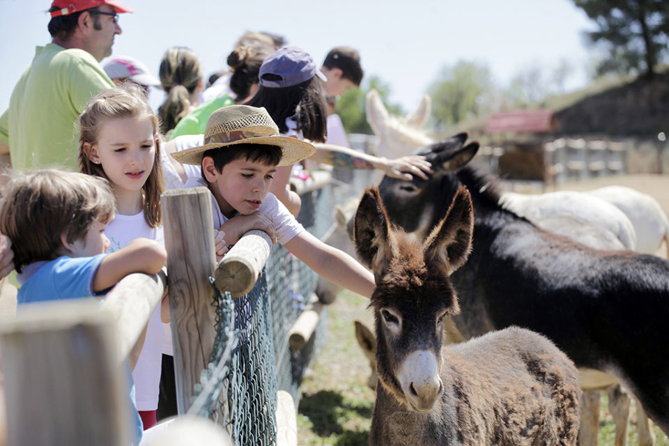 Esperanza se ha convertido en el principal reclamo de La Grajera. / Ingrid