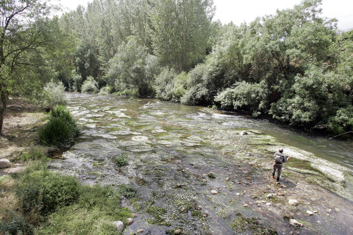 El Nacional de trucha se celebra en La Rioja
