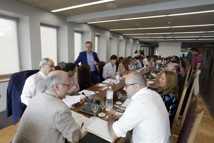 Aprobadas las normas de la campaña  de la vendimia con un notable apoyo