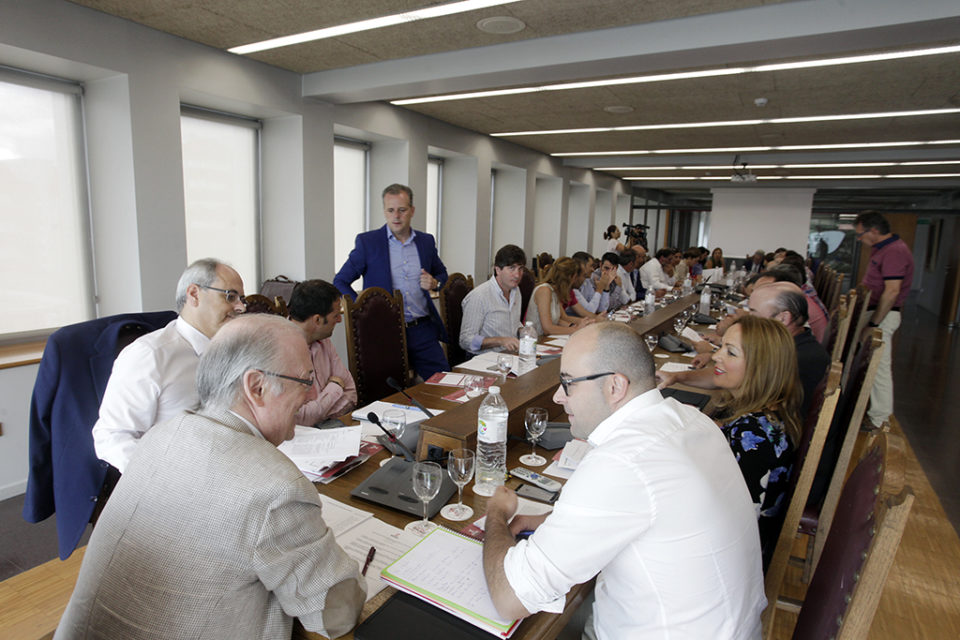 Reunión del Pleno del Consejo Regulador de este lunes. /INGRID