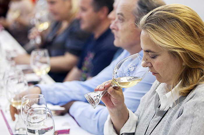 Conciertos en bodegas, tren del vino y conversación con Kiko Veneno, en septiembre