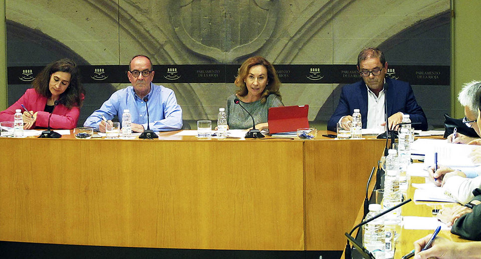 Intervención de la consejera de Salud, María Martín, en el Parlamento de La Rioja. /nr