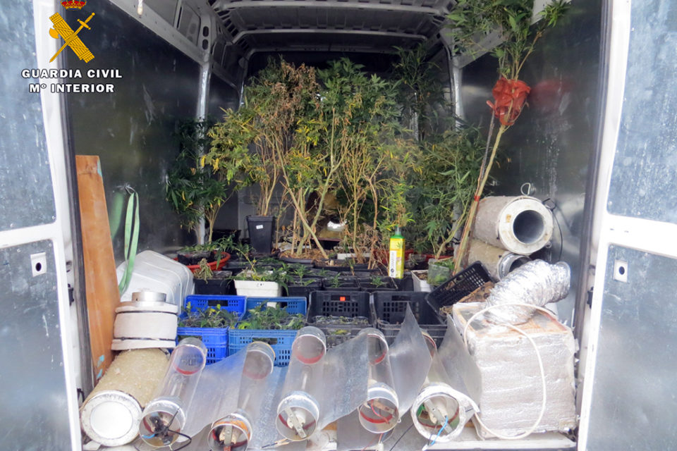 Plantas y útiles intervenidos por la Guardia Civil del interior de la vivienda. / Guardia Civil