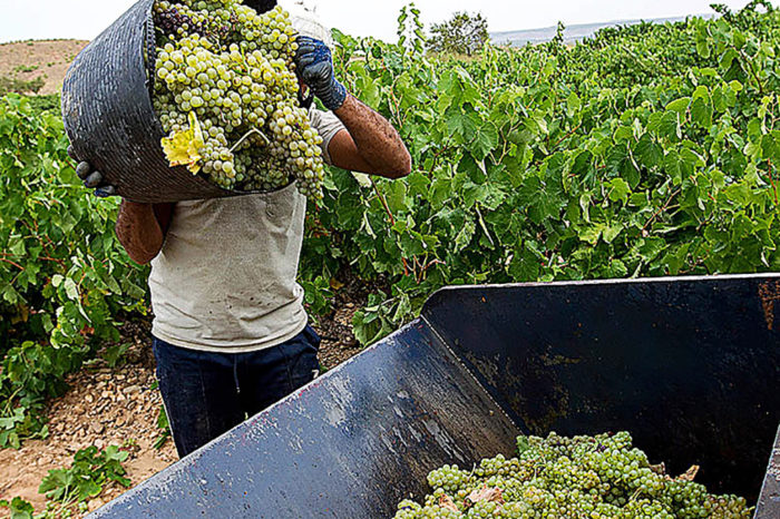 Grupo Rioja apela a la 'moderación' del sector ante la campaña que comienza