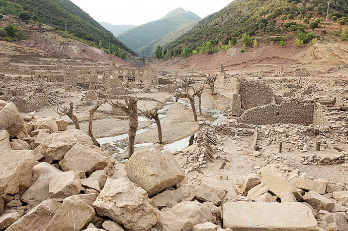 Agricultura recibe 336 solicitudes de ganaderos para ayudas por la sequía