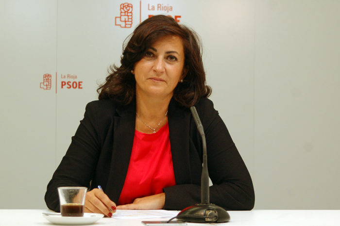 El PSOE propondrá un presupuesto alternativo si el Gobierno riojano no reacciona