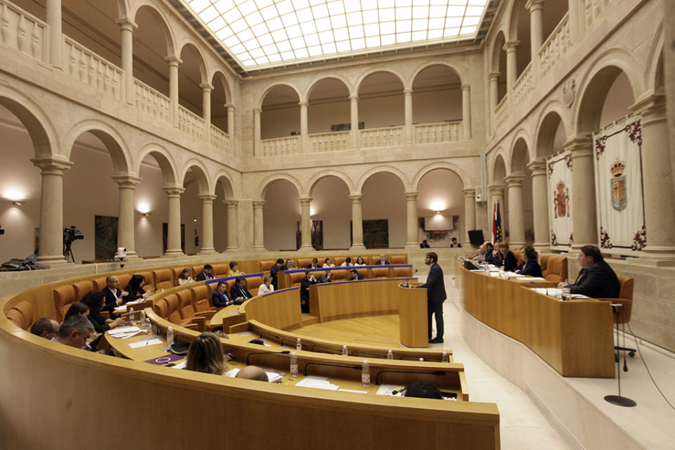 Imagen del Pleno del Parlamento riojano. / Ingrid