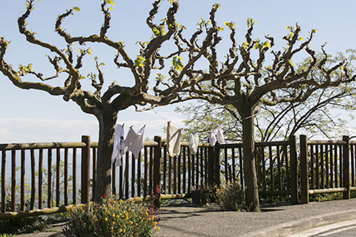 La esencia de la tierra