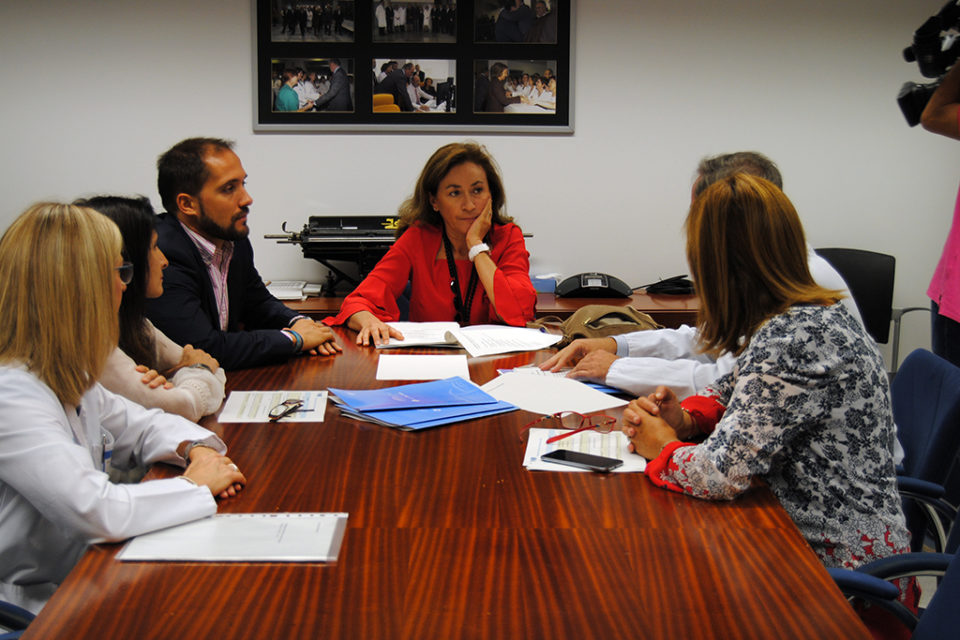La consejera de Salud preside la reunión mantenida con el grupo técnico que está trabajando en el programa contra el suicidio. / NR