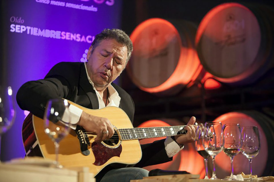 Carlos Goñi, durante una actuación. / La Rioja Capital