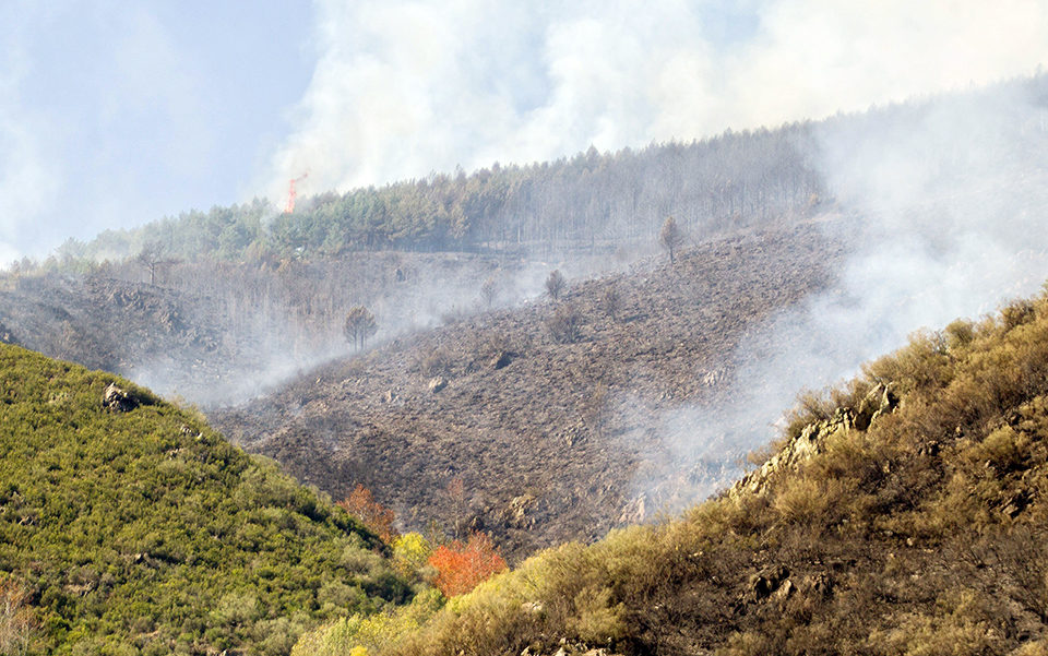 Incendio declarado el pasado mes de octubre en el monte cercano a la aldea de Posadas. / Raquel Manzanares (Efe)