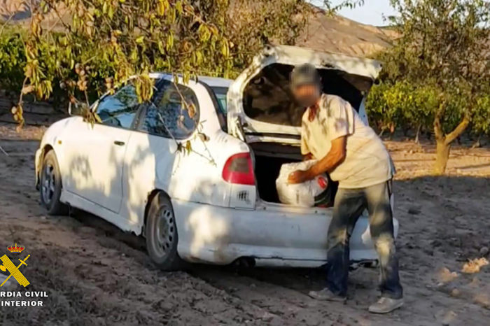 La Guardia Civil detiene a siete personas e investiga a otras dos por robar almendras
