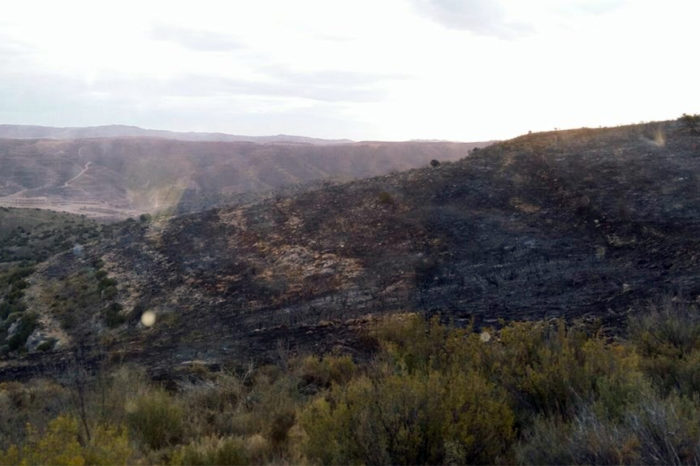 Estabilizado el incendio en el Barranco del Reajo, que se sospecha que haya sido intencionado