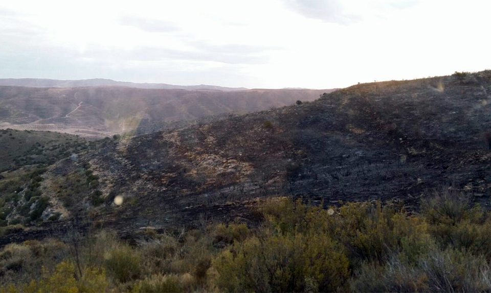 Parte del terreno quemado en el monte de Gutur. / Bomberos Forestales