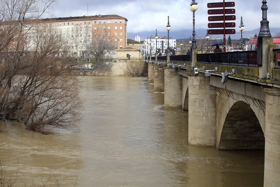 El cadáver se ha localizado en la zona del Puente de Piedra. / NR