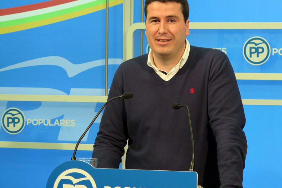 Diego Bengoa, nuevo coordinador general del PP riojano. / NR
