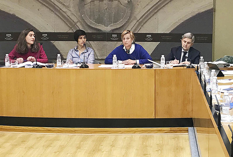 Leonor González Menorca, en su comparecencia parlamentaria. / NR