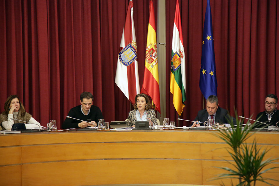 Gamarra interviene en el pleno municipal. / Clara Larrea
