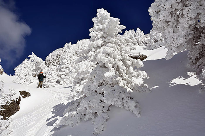 Termina el invierno en La Rioja, que ha sido muy húmedo y frío