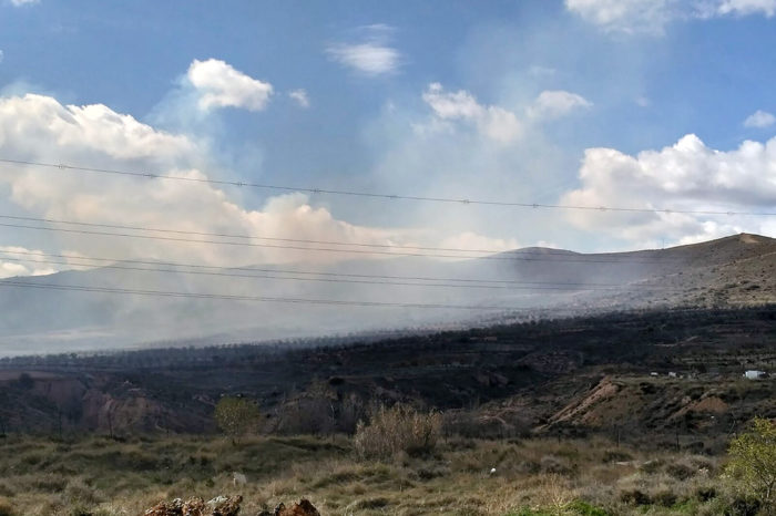 Arden 30 hectáreas de matorral y repoblación en los montes de Bergasa y Arnedo