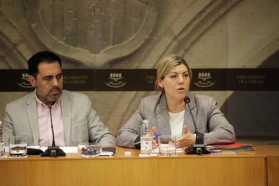 Carmen Gómez Collado comparece en la comisión de investigación. / Ingrid