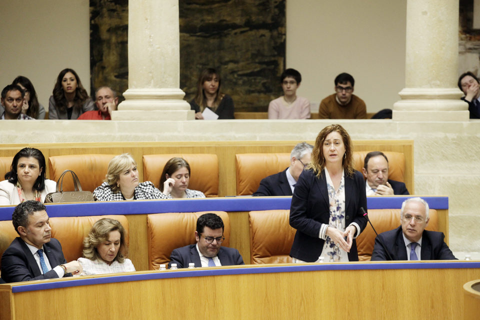 La consejera de Presidencia y Acción Exterior, Begoña Martínez Arregui, durante su intervención en la sesión plenaria de ayer. / INGRID