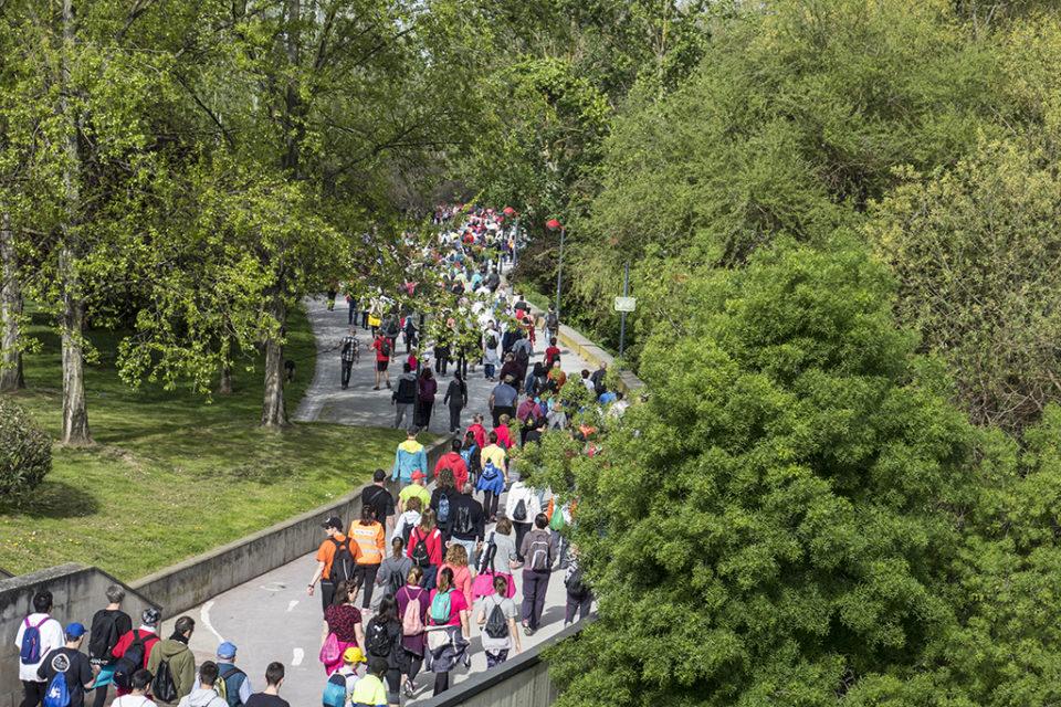 Participantes en uno de los paseos saludables recorren el parque del Ebro. / NR