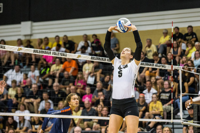 Un sueño hecho realidad