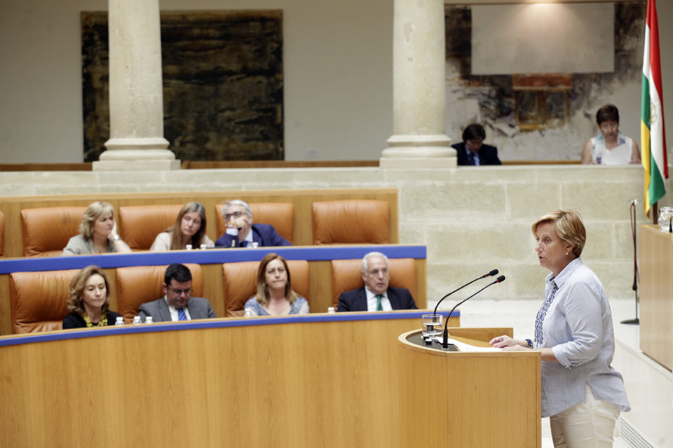 La consejera de Desarrollo Económico interviene en el Parlamento, donde se debatió la Ley de modificación de la ADER. / Ingrid