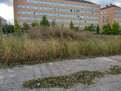 El PR+ propone adelantar el desbroce de solares para evitar incendios