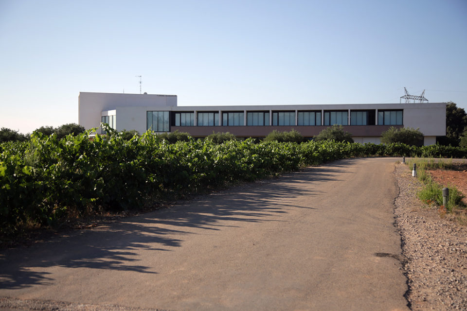 Finca de los Arandinos, situada en Entrena. / Clara Larrea