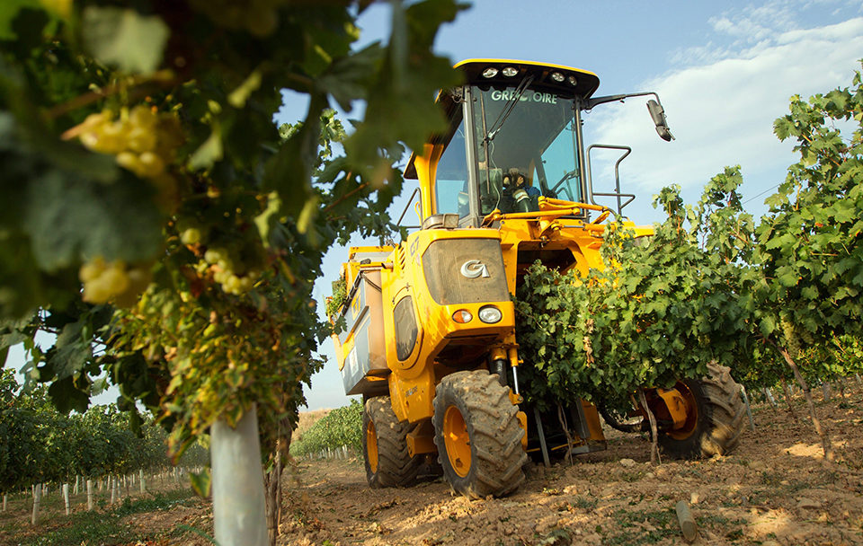 Un vendimiadora mecánica recoge uva blanca en Rioja Baja. / Abel Alonso