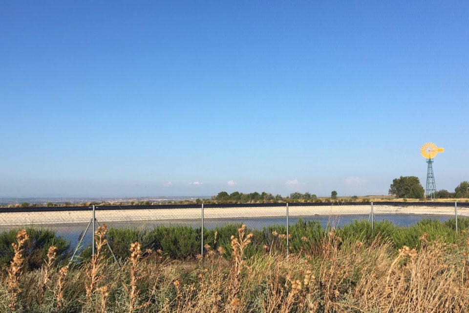 Balsa de riego donde apareció la víctima. /CLARA LARREA