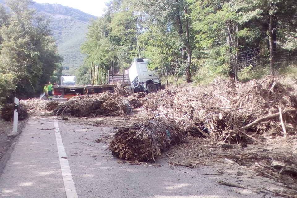 Carga de madera que transportaba el camión sobre la N-111. / NR