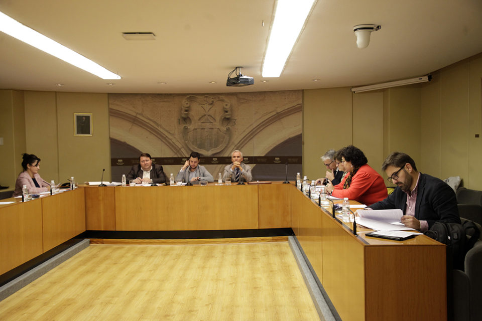 Javier Tajadura ha intervenido en la comisión parlamentaria para analizar la reforma del senador autonómico. / Ingrid