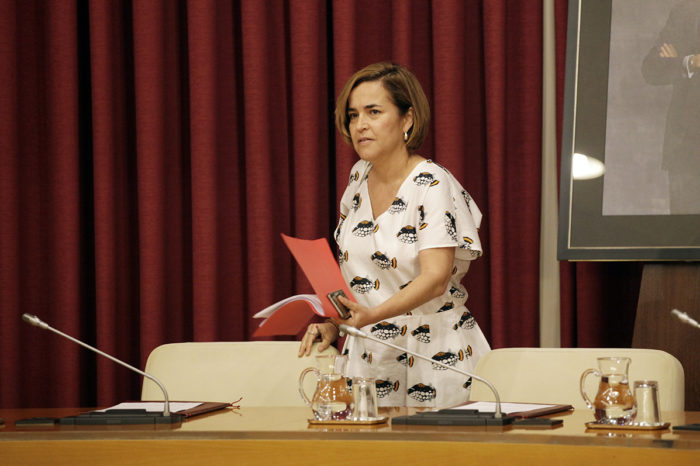 El PSOE plantea aplicar a familias monoparentales las mismas bonificaciones del IBI que a familias numerosas