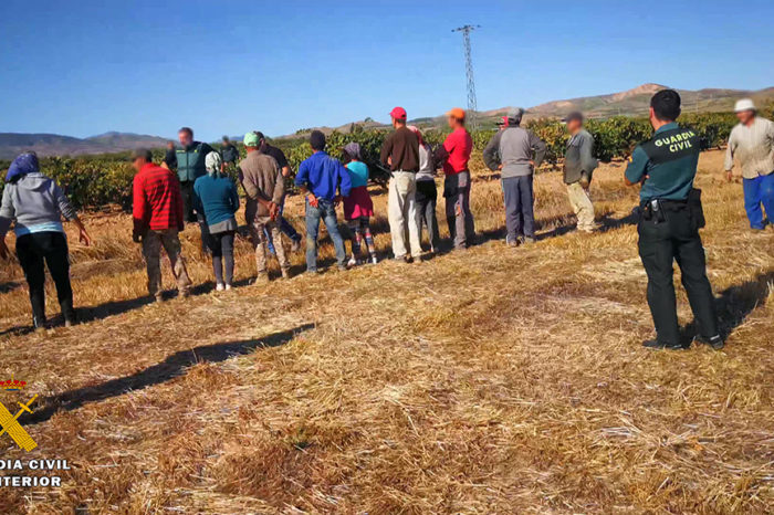 Cae una mafia en La Rioja por explotar a 44 compatriotas en la vendimia