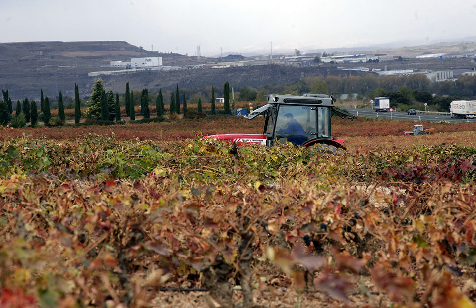 Más de 8 millones se destinarán a programas de promoción del vino. / Ingrid