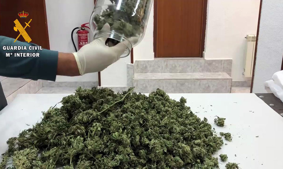 Marihuana intervenida. / Guardia Civil