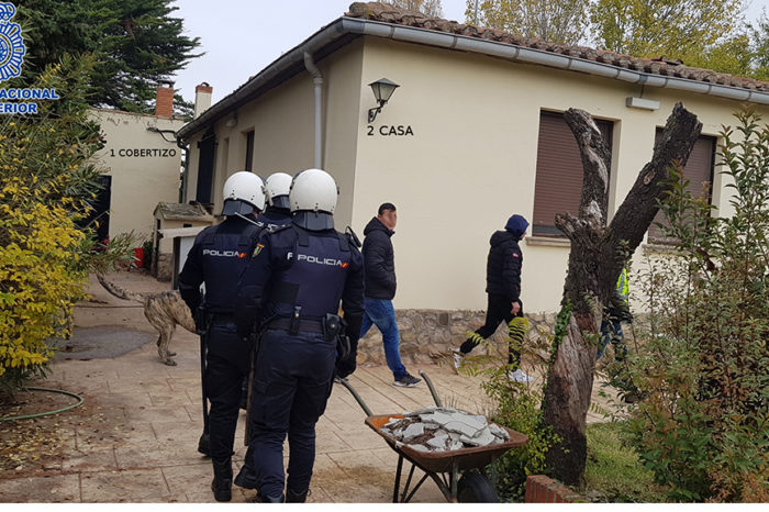 Intervenidas 728 plantas de marihuana en Albelda, el mayor alijo de 2018