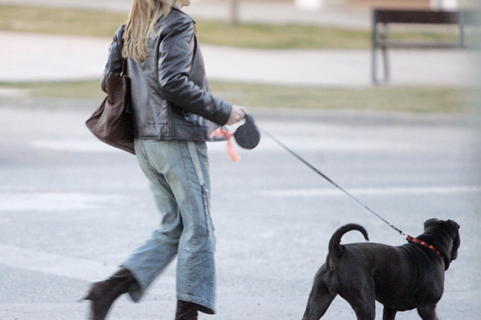 Todo lo que hay que saber sobre la nueva Ley de Protección de Animales